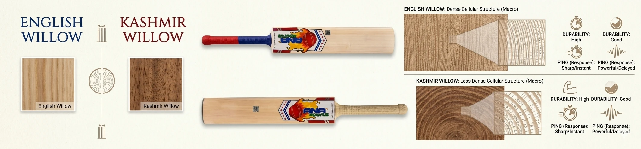 English Willow vs. Kashmir Willow: Choosing the Right Cricket Bat for Your Game
